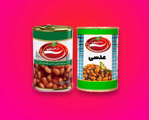 انواع کنسرویجات